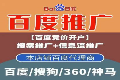 案例解读：SEM代理助力电商销量翻倍